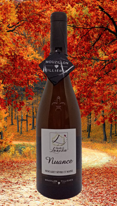 MOUZILLON - TILLIERES 2019     