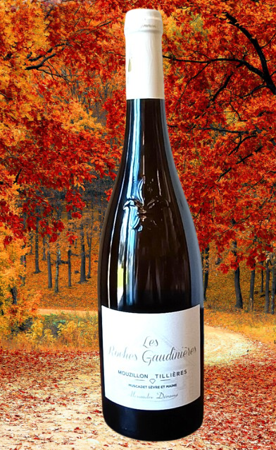 MOUZILLON-TILLIERES 2022