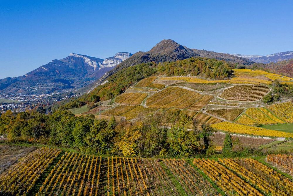 1680  1050  auto   wp-content uploads slider dcouvrez-les-vins-de-savoie 68 1