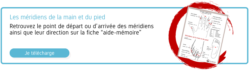 Carte mémoire méridiens mains et pieds