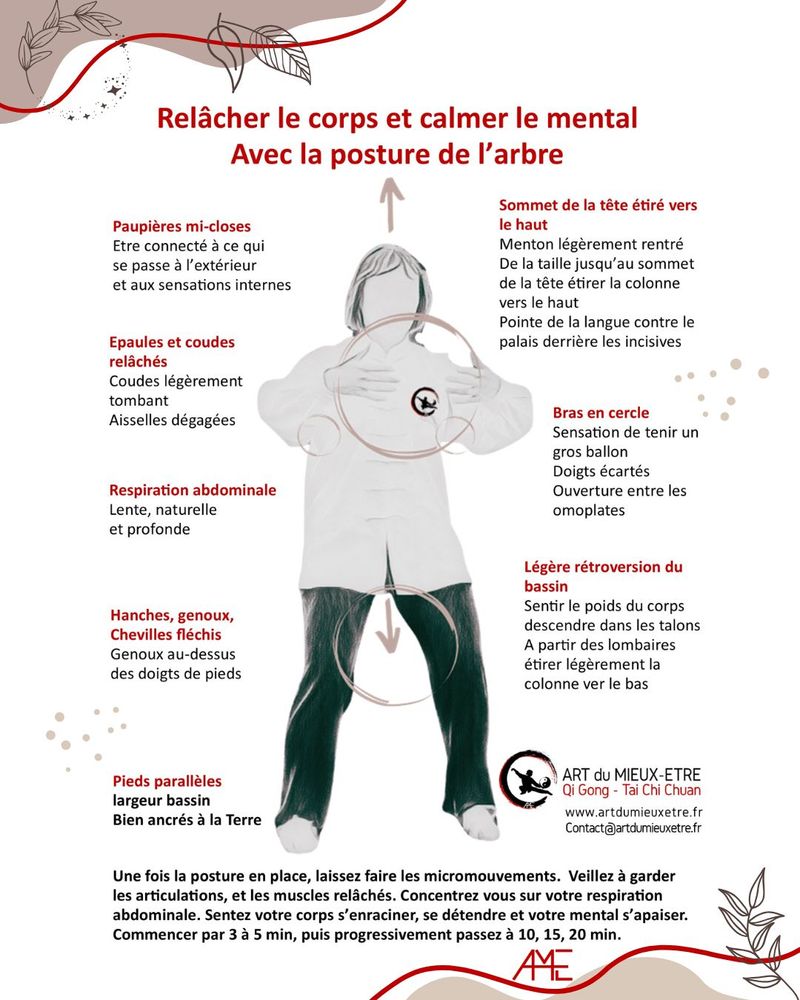 Posture de l'arbre - qi gong - tai chi