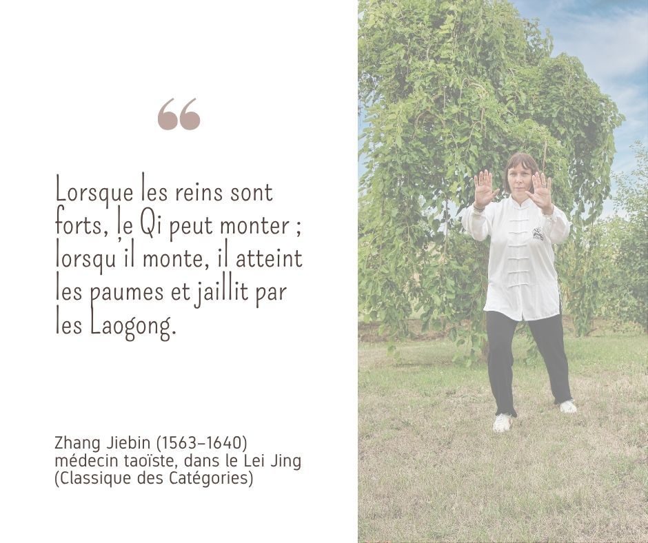 Le Qi jaillit par les Laogong