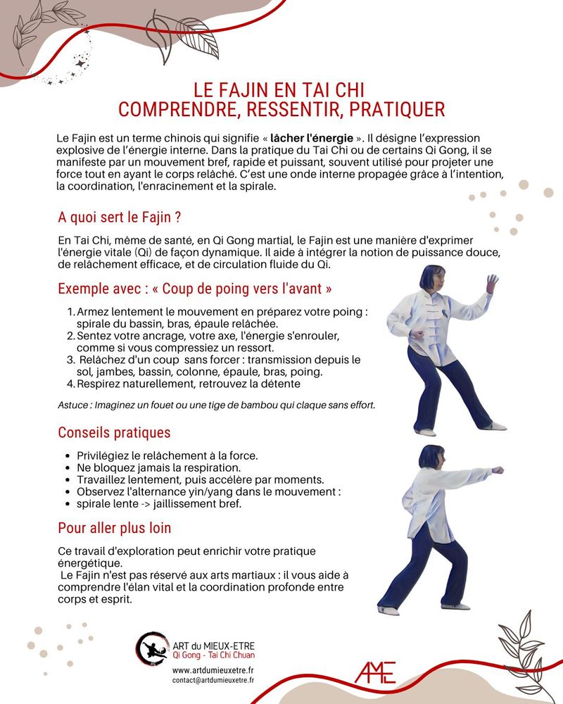 carte-mémo Fajin : comprendre, ressentir, pratiquer