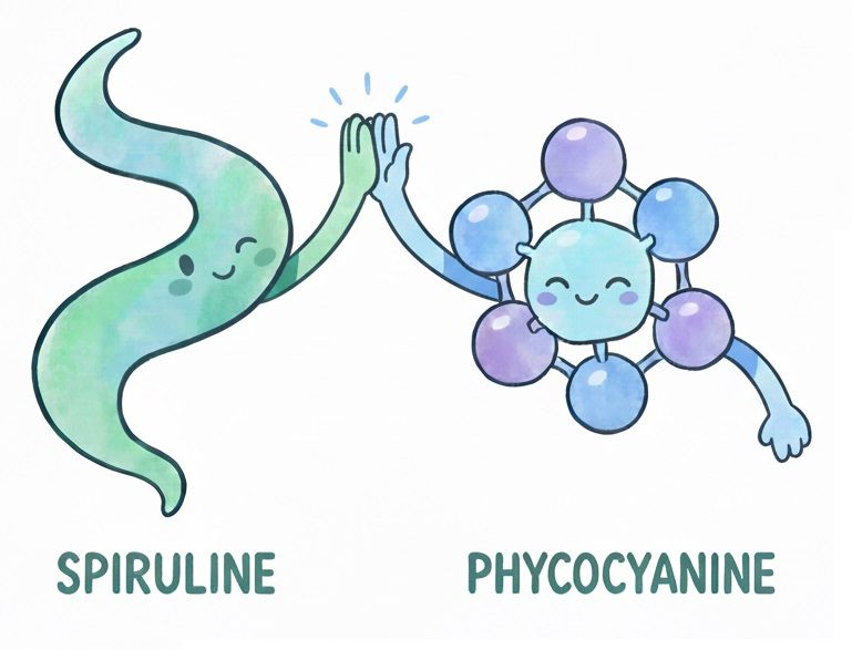 association spiru phyco
