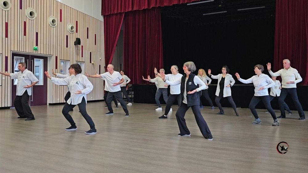 démonstration de Qi Gong et Tai Chi au téléthon de Maubec