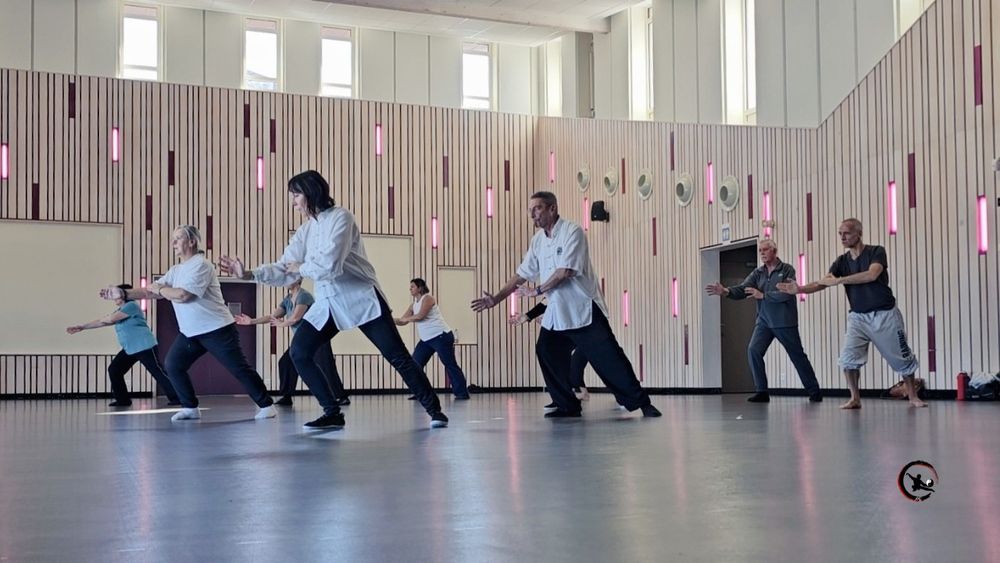 stage de qi gong et tai chi en hiver à Maubec