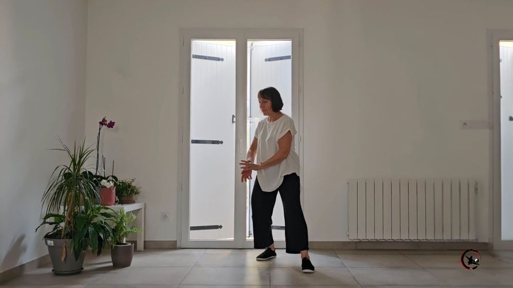 cours de qi gong et tai chi à domicile sur le secteur de Bourgoin Jallieu