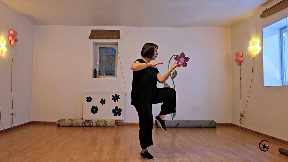 Ateliers de qi gong et tai chi en été à Bourgoin et Ruy