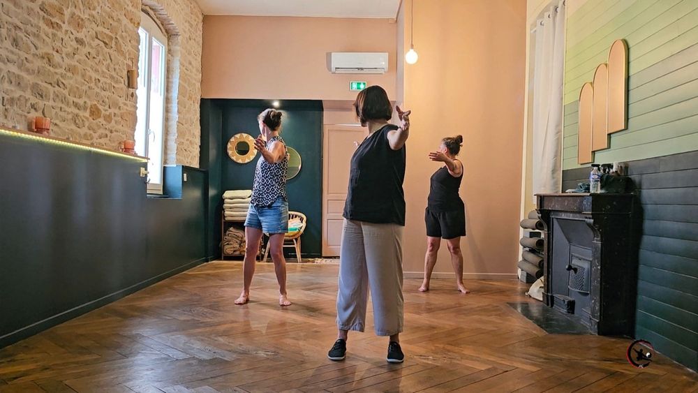 Cours de Qi Gong et Tai Chi en petit groupe en soir&eacute;e &agrave; Bourgoin-Jallieu