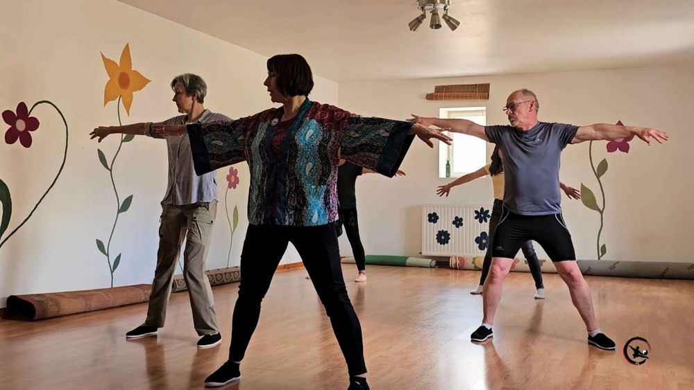 Cours de Qi Gong et Tai Chi en petit groupe l'apr&egrave;s-midi &agrave; Ruy en Is&egrave;re