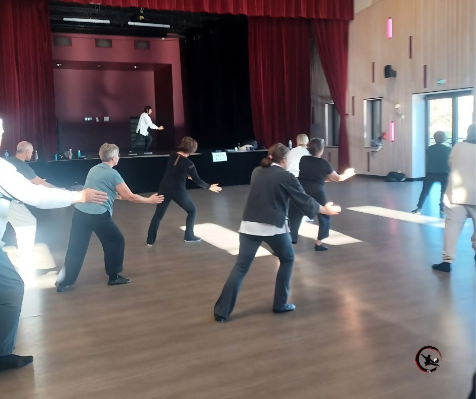 stage de qi gong et tai chi à Maubec en Isère pour débutants et pratiquants