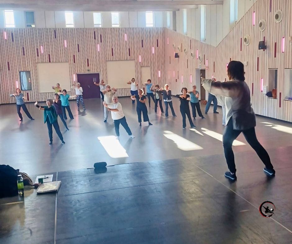 stage de qi gong et tai chi à Maubec en Isère avec Art du Mieux-Être et le CJA de Maubec