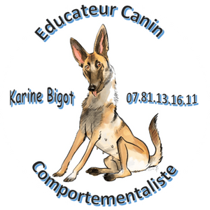 Educateur-canin-oise-val-doise