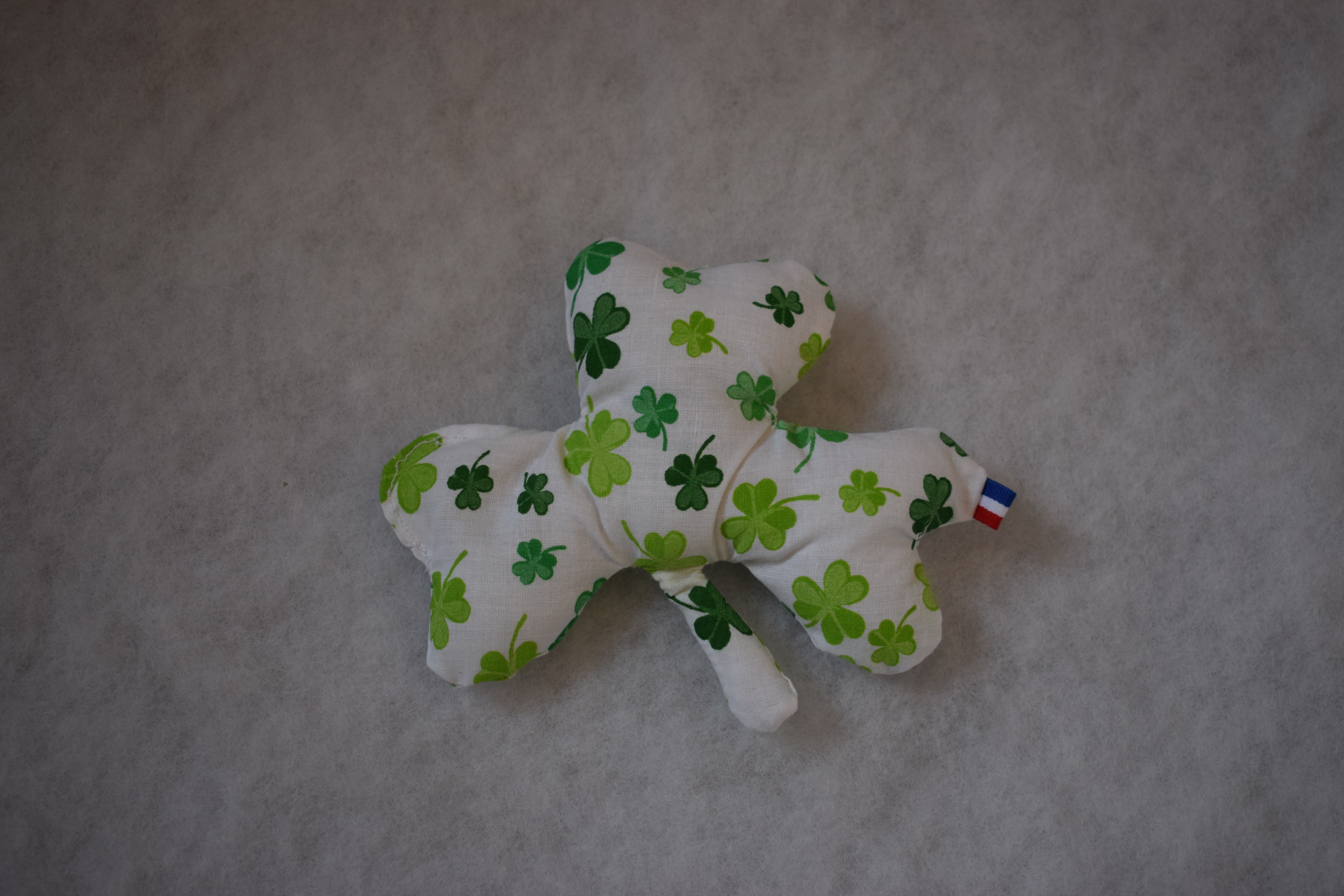 Trèfle chien Saint Patrick