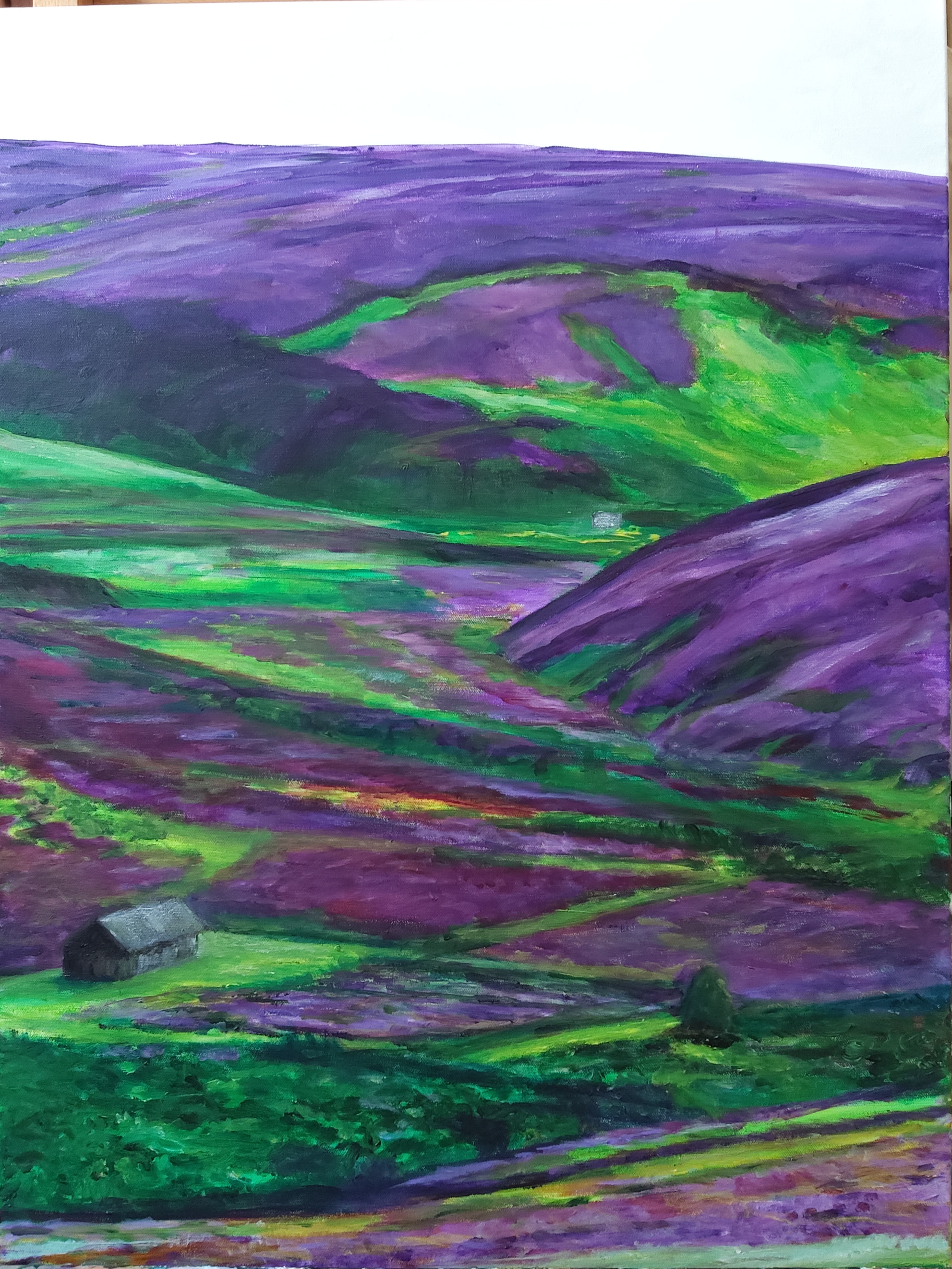 Collines d'Ecosse, F20,  87 x 100 cm