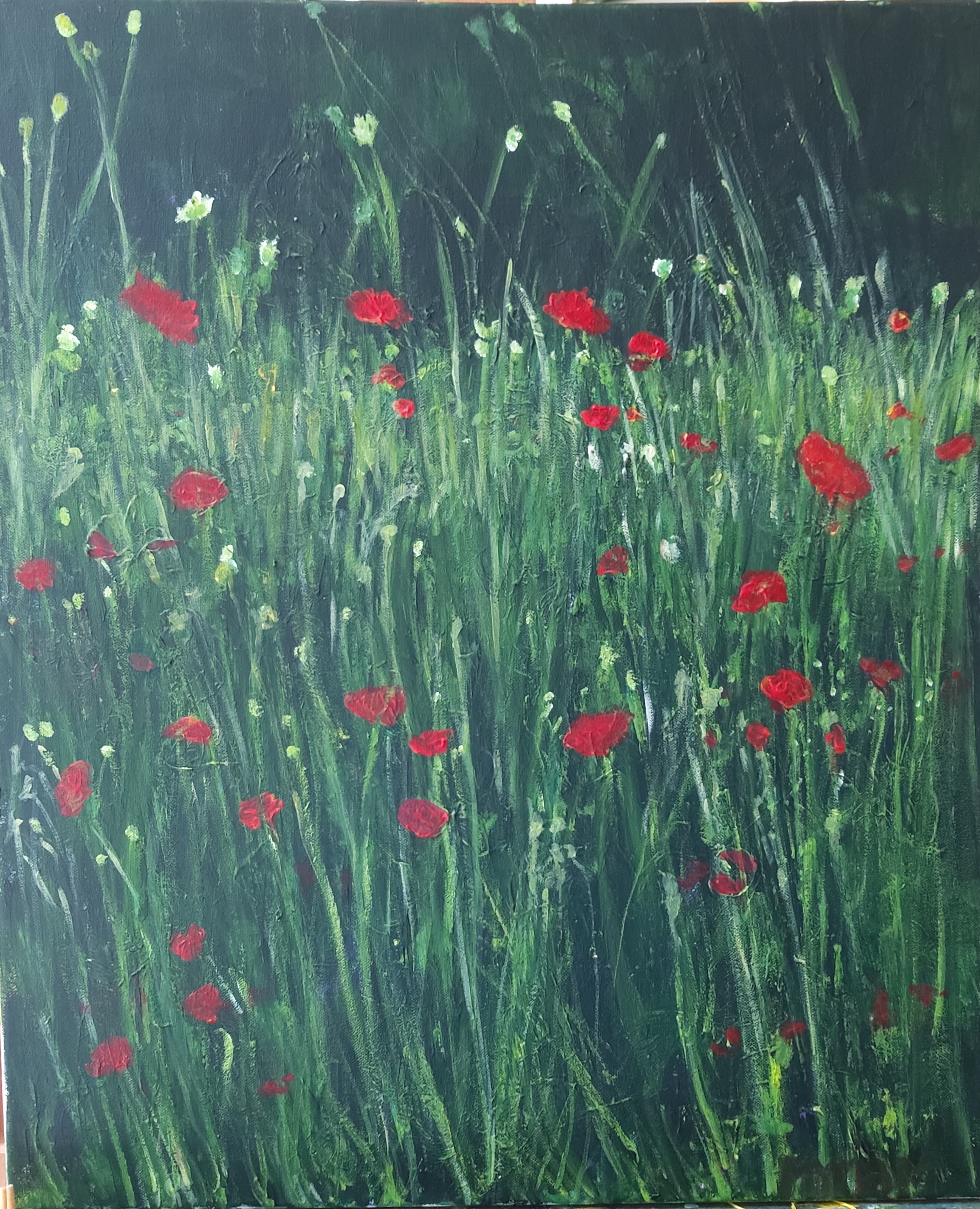 Coquelicots, F12,  61 x 50 cm 