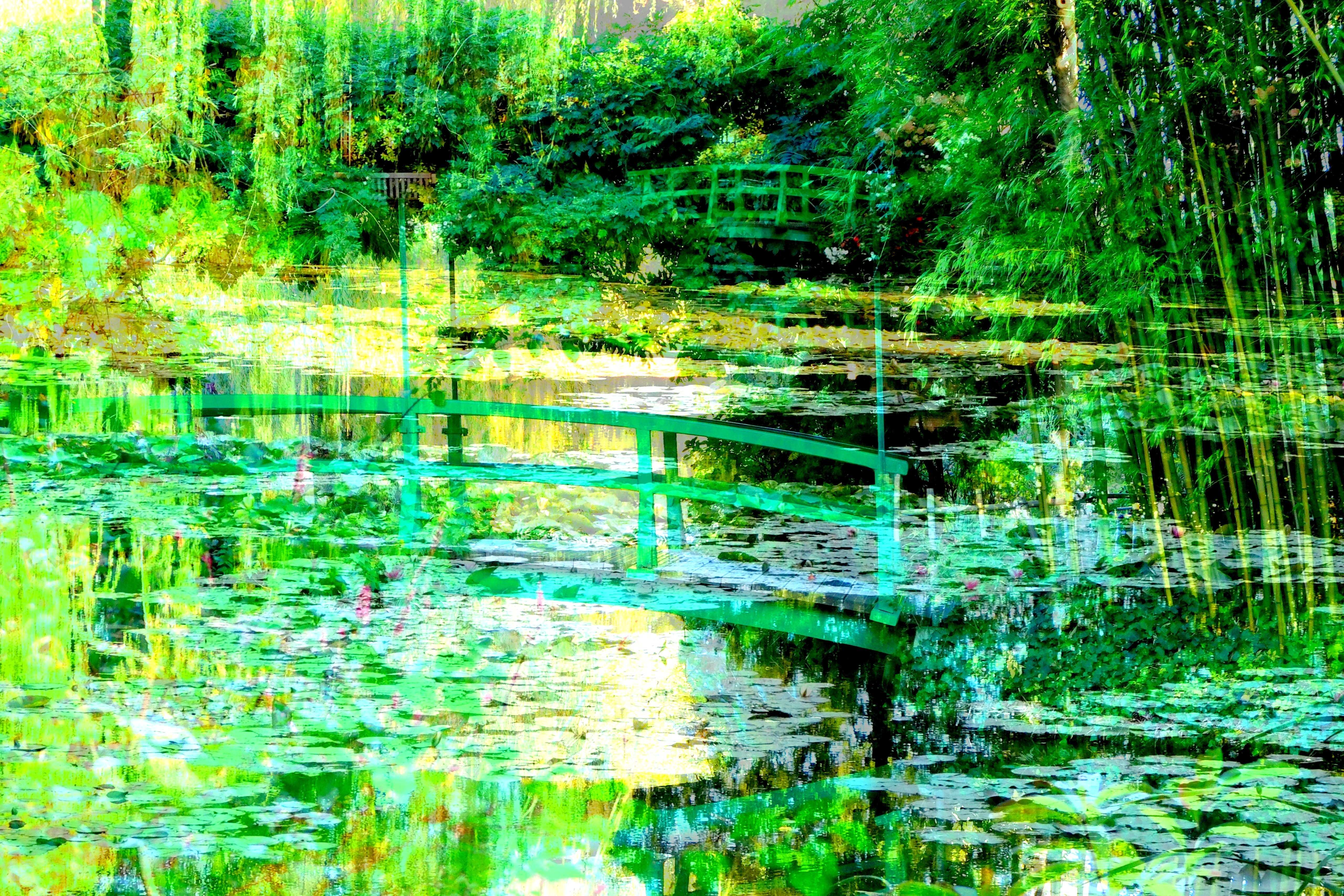 Pont Japonnais Bambous