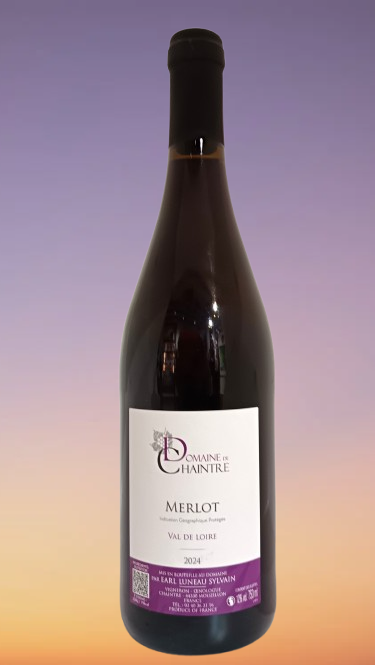 Merlot  : Domaine de Chaintre