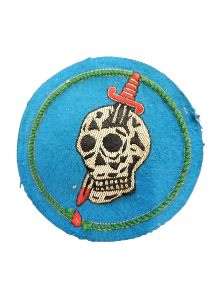 363rd Fighter Squadron US Air Force Historic WWII